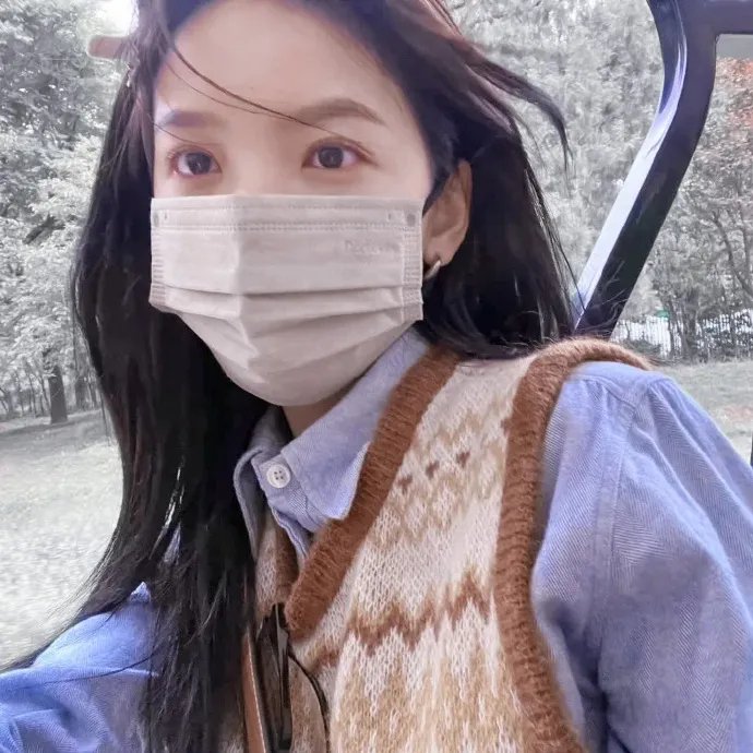 木材宝藏狗